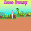 Cano Bunny: A Thrilling 2D Platform Adventure